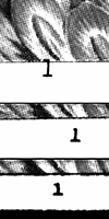R25H(O/C)-1(full) at top, R25H(O/C)-1(cut) at middle, and R25H(O/C)-1(serif) at bottom  
